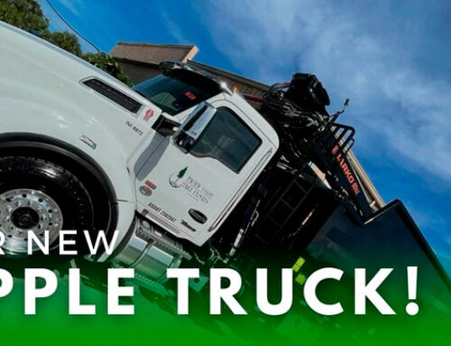 See Our New Grapple Truck!